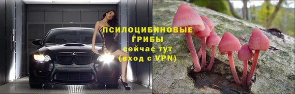 амф Алексин