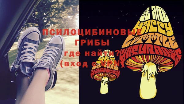 ECSTASY Алзамай