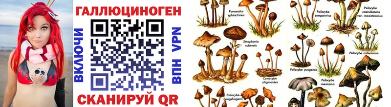 omg сайт  Добрянка  Псилоцибиновые грибы мицелий 